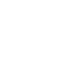 Pelican PMS logo