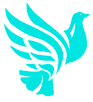 Dove Ventures logo