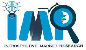 introspective market research logo