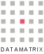Datamatrix InfoTech logo