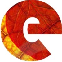 eStomi logo