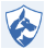 Shepherd logo