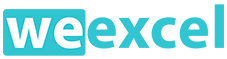 WE Excel logo