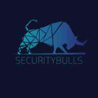 securitybulls logo