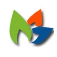 Bridgelogic Software logo