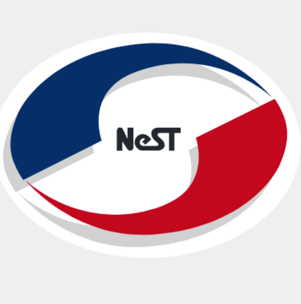 NeST Digital logo