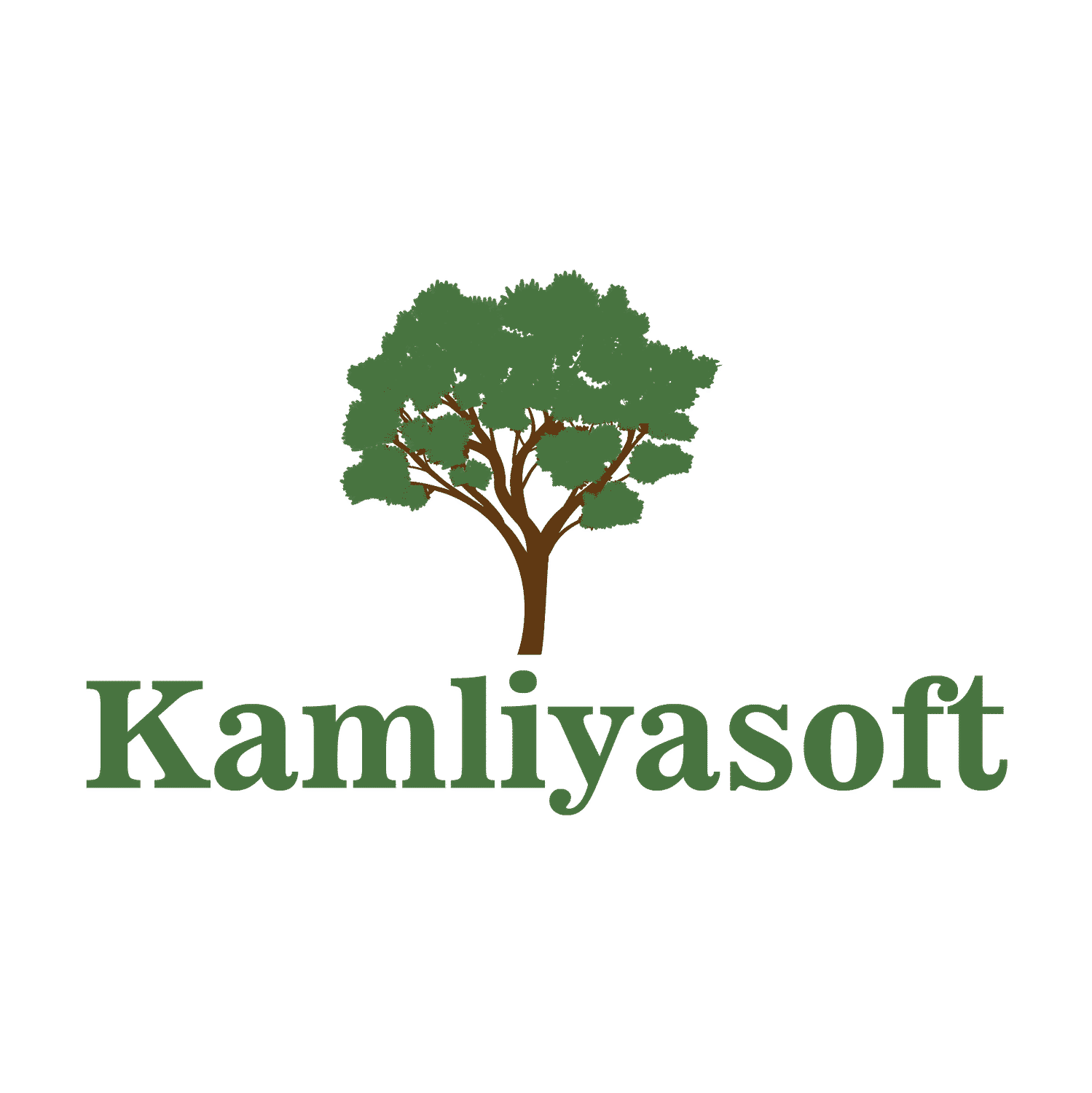 kamliyasoft logo