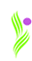 RAURnet Solutions logo