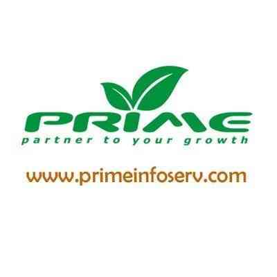 Prime Infoserv LLP logo