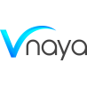 Vnaya logo