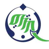 naqeebz consulting logo