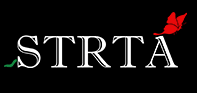 Strta Consulting Services logo