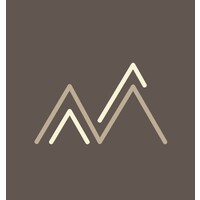 APM Consulting logo