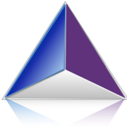 Placitum IP logo