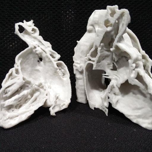 Anatomiz3D logo