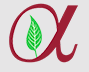 Alovie Technologies logo