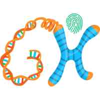 genometohealth logo