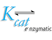 Kcat logo