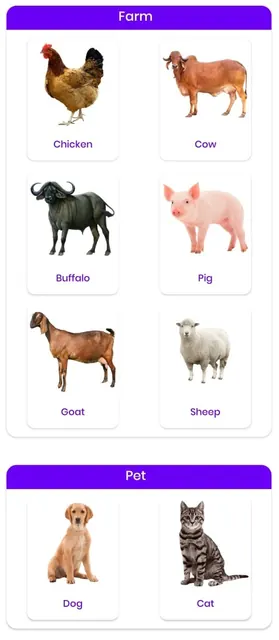 DrPashu - Instant Online Vet screenshot 5