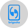 Brigosha Technologies logo