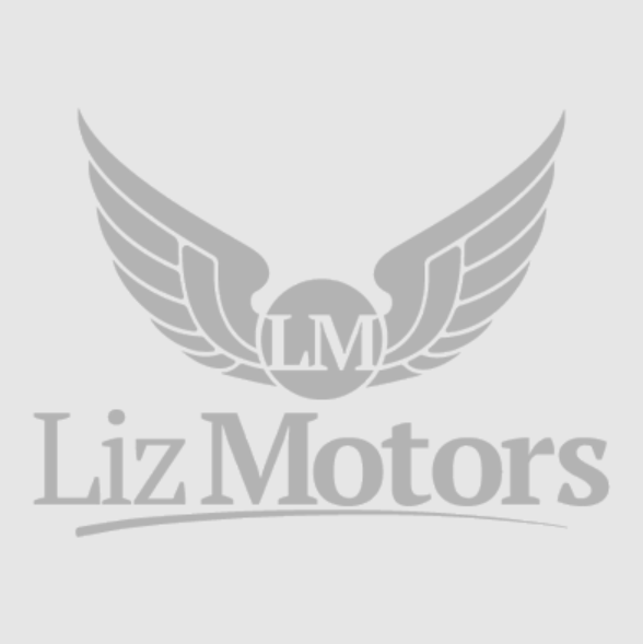 Lizmotors logo
