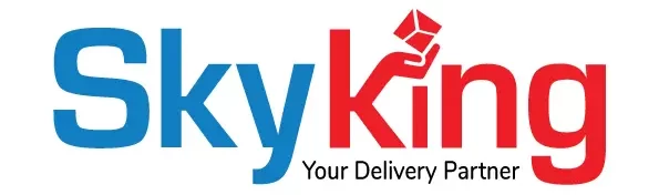 Skyking logo