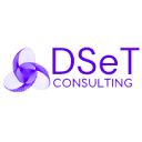 DSeT Consulting logo