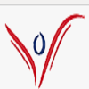 Veeyu logo