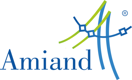 Amiand Consulting logo