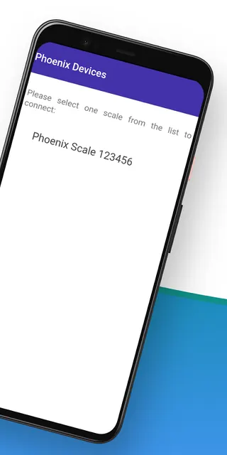 Phoenix Weighing Scale screenshot 2