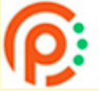 PE Rings logo