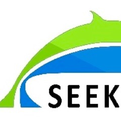 SEEK Research Solutions logo