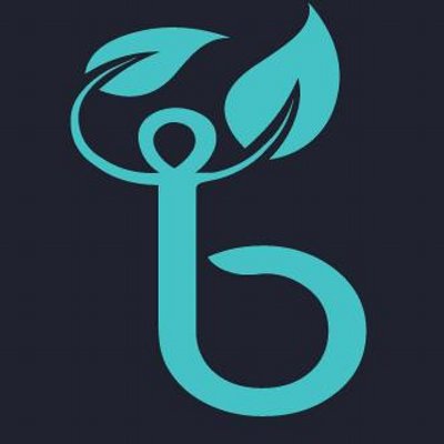 Brillsense logo