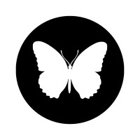 Fidle logo