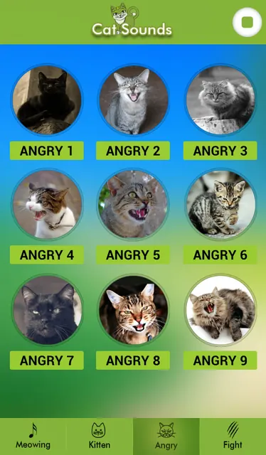 Cat Sounds screenshot 4