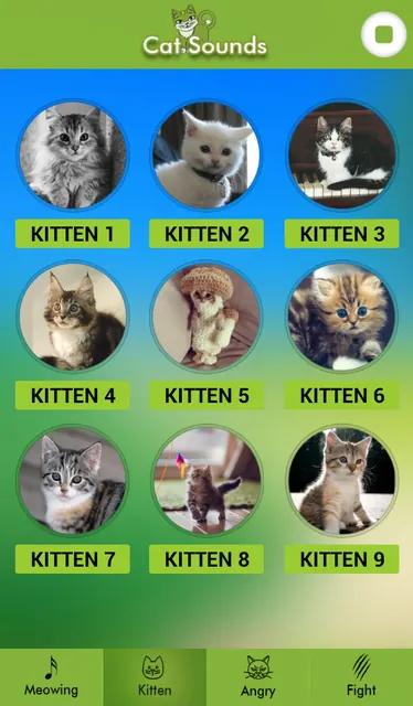 Cat Sounds screenshot 3