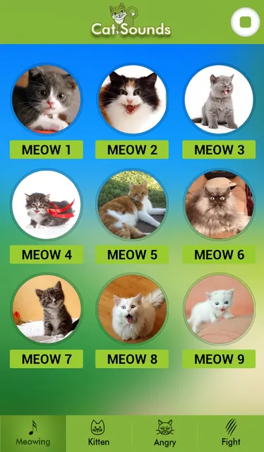 Cat Sounds screenshot 2
