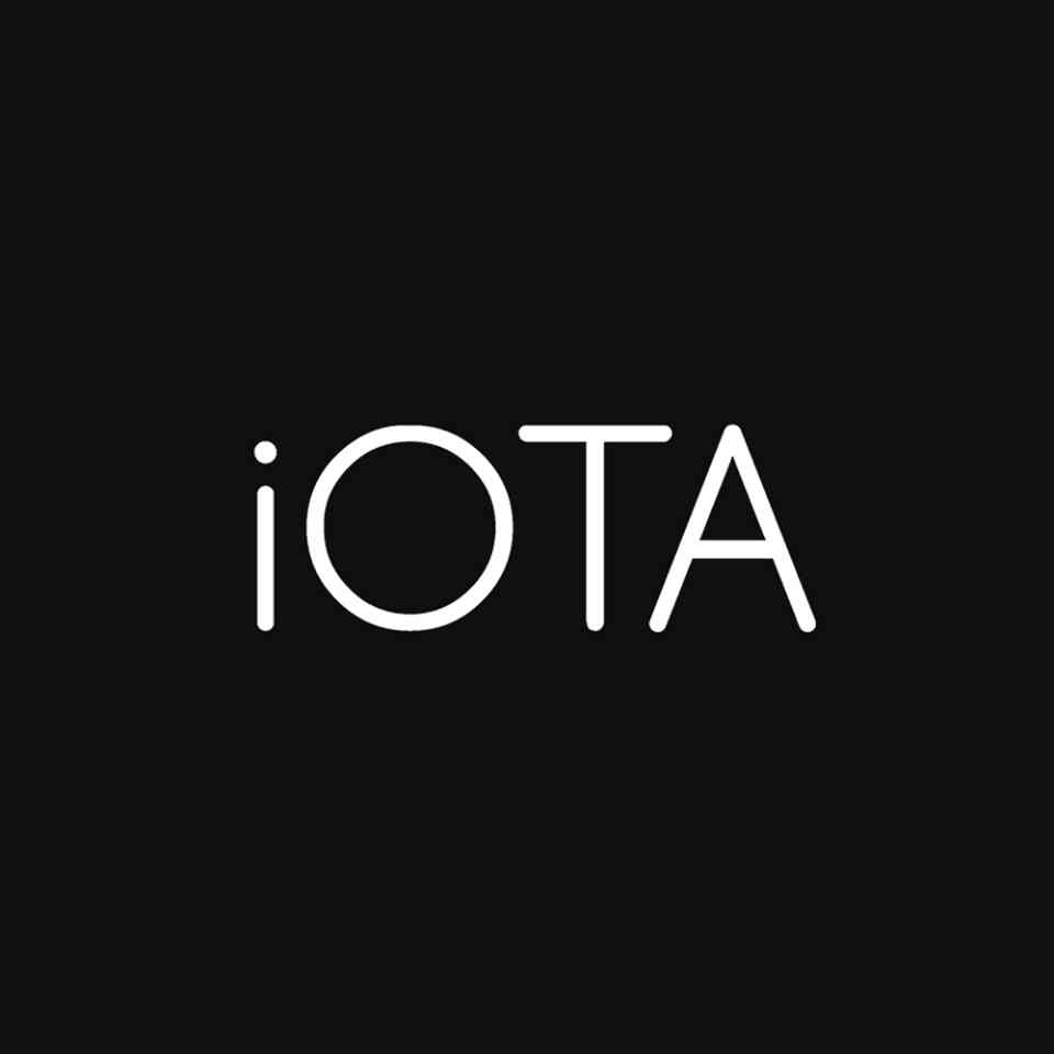 iota infotech pvt. ltd logo