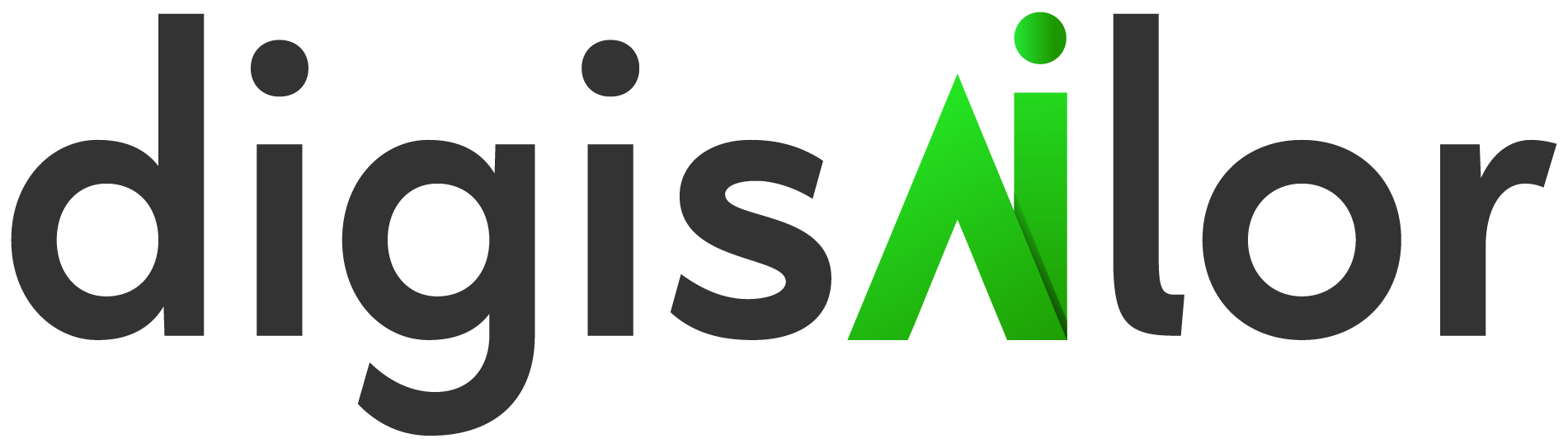 Digisailor logo
