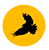 RAVENINNOVATIONS logo