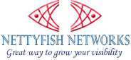 Nettyfish Bulk SMS logo