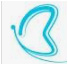 Bizmorphic logo