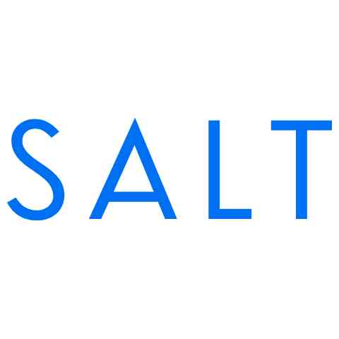 Salt Web Technologies logo