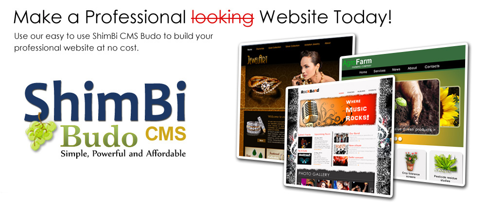 CMS Budo logo