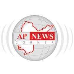 apnewscorner logo