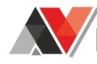 AV News logo