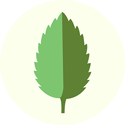 Spearmint Games logo