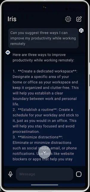 IRIS (offline GPT) screenshot 1