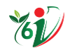 6iPAIN HELATHCARE logo