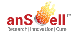 ANSA logo